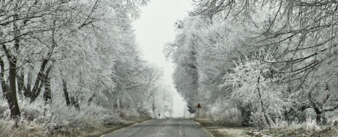 Do Polski powróciła zima. Synoptycy ostrzegają przed opadami śniegu